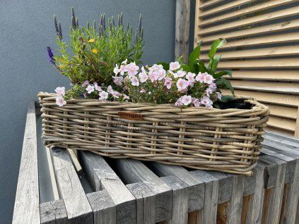 Rattan-Blumenkasten mit Kunststoffeinsatz