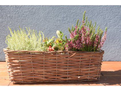 Quadratische Weidenbox